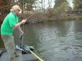 tommy hooks and lands (using a boga grip) a muskie on a fly!