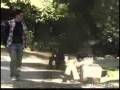 videos de Fi­sica o Qui­mica - Gorka descubre que cabano es el novio de ruth