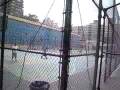 Goat Park, NYC
