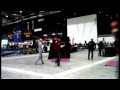 X3M Parcouring World Championship Team Switzerland (1)
