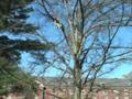 UMass TCC Work Climb