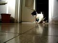 diana plays succer 3