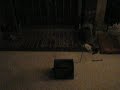 Rabbit Flipper 2