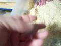 Rat and Mice breeding and husbandry tips