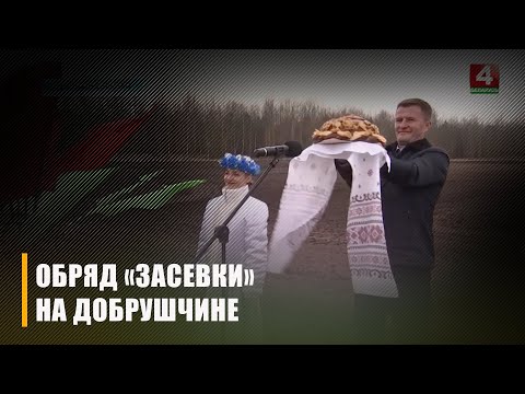 В Добрушском районе стартовала посевная кампания видео