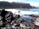 Playa Pud�