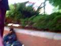 Harvard-Square-Scene