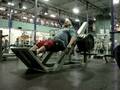 12 plate proper hack squat