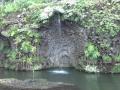 Ode a madeira! parte II