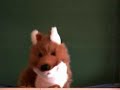PawPet Music Video - Move Your Dead Bones