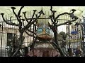 Dead Chickens 01