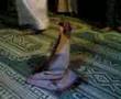 Miracle Madinah
