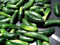 CUCUMBERS PLAIN SANTA MONICA LOT 1CR CUCUMBERS PLAIN SANTA MONICA LOT 1CR