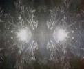 New Years Day �FIZZproductions