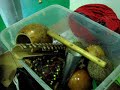 Capoeira edz�s - Sancao - K�lvin t�r