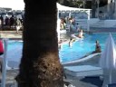PUNDA PAROS 2008