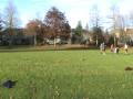 20081127100322(9).mpg
