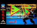 Sifu. Argimiro (ARUN) Pak Hok Kyhung in Filipine