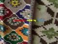 videos de BUCOVINA MANDRA FLOARE