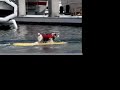 Buddy the surf dog Buddy the surf dog
