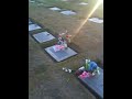 Hanging out at the cemetery!