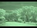 IR Reflection