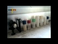 Click here to watch this video NONAMOTION vegaproject 7- carnival (sweet elephant)