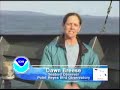 California marine mammals & seabirds