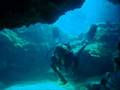 GRAVIERA REEF - NAXOS ISLAND by 'BLUEFINDIVERS NAXOS DIVING CENTER'