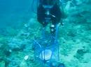 Coastal Clean-Up