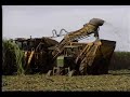 Cameco Cane Combine