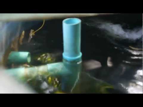 Aquaponics Bell Siphon