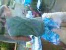 Rabito creu
