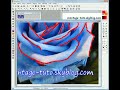 montage tuto photofiltre(5) rose scintillante montage tuto photofiltre(5) rose scintillante