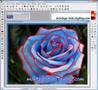 Montage Tuto Photofiltre[5] Rose Scintillante