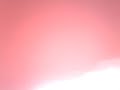 Sanikart 1