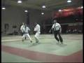 Ju Jitsu fighting: Guglielmino Orleans & Cento Open 07 HL
