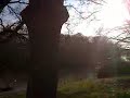Warwick castle outside