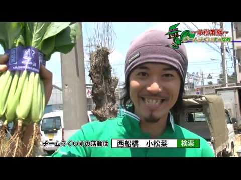 船橋特産野菜シリーズ