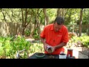 Gardening Tips : Potting Soil Recipe