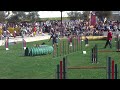 Jordi Fanta jumping.MOV