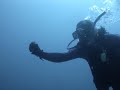 buceando con delfines dive with dolphins en Isla Socorro Rev buceando con delfines dive with dolphins en Isla Socorro Rev