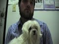 ASAP - new David Lynch short film ASAP - new David Lynch short film