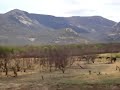Sert�o da Bahia - Br 116