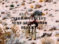 Desert Splinter Mottle Mk2