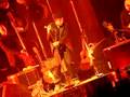 Trampled Rose - Tom Waits