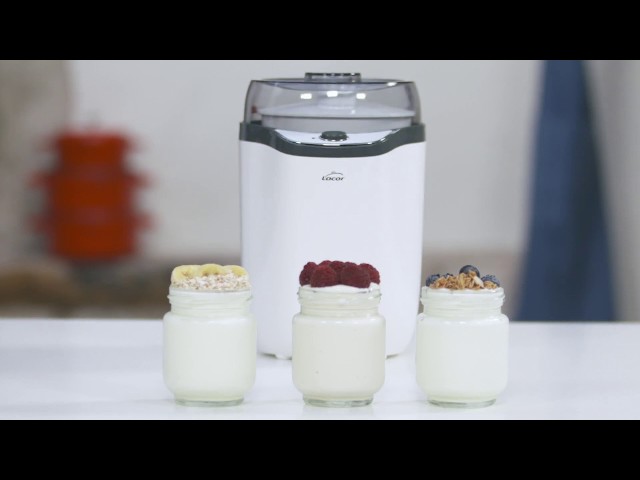 Yoghurt maker White