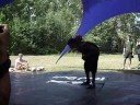 Max Dudka - Dnipro Freestyler
