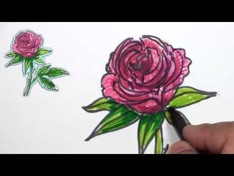 how to draw yellow roses