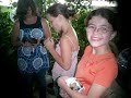 ANIMAIS DE ESTIMA��O      CERQUILHO